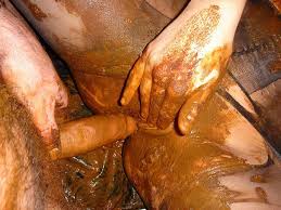 Poepsex Plassex & Poepsex